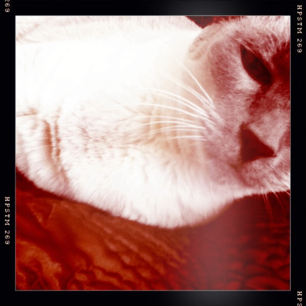 Hip 334688148.488329