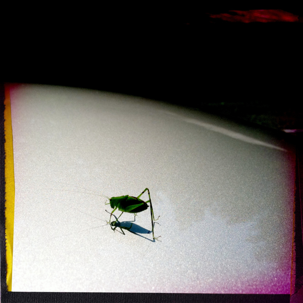 Hip 333559573.289977