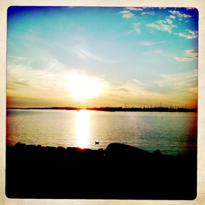 Hip 334003493.544291