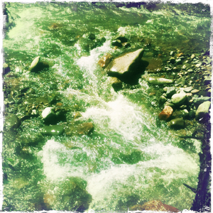 Hip 334441772.143085