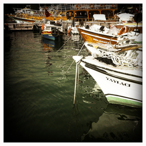 Hip 333643662.707083