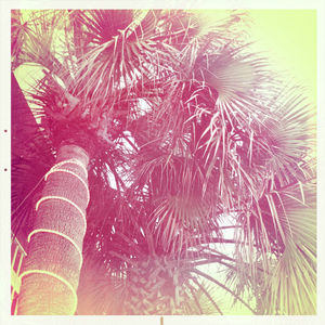 Hip 329355319.336469