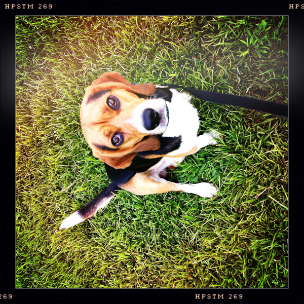 Hip 334690050.372498