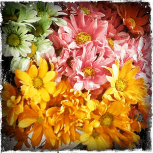 Hip 334686171.792341