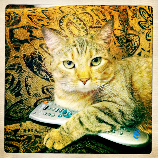 Hip 334380360.569473