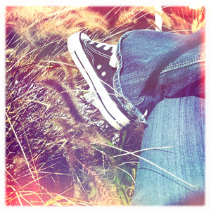 Hip 333211001.136871