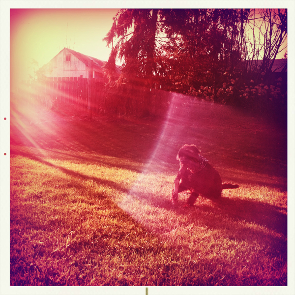 Hip 325120343.163131