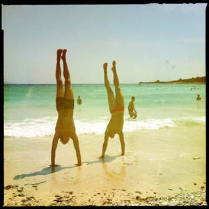 Hip 334409182.268135