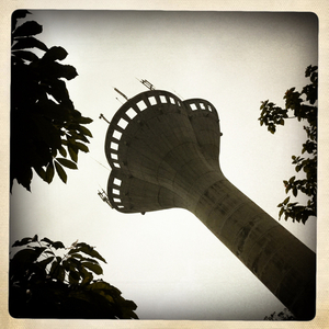 Hip 334563817.311599