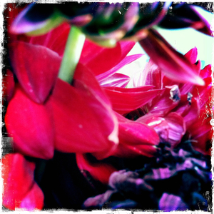 Hip 334695234.912477