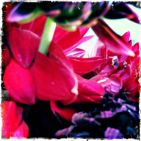 Hip 334695234.912477