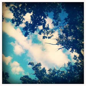 Hip 334625276.818666