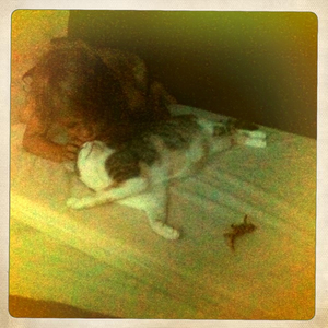 Hip 334697117.852620