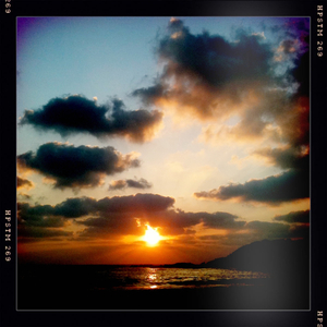 Hip 334253982.156726