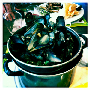 Hip 334583545.901548