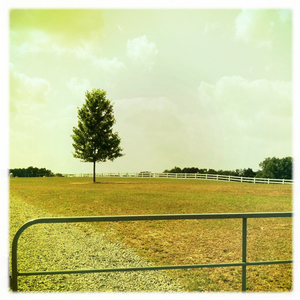 Hip 332194210.643476