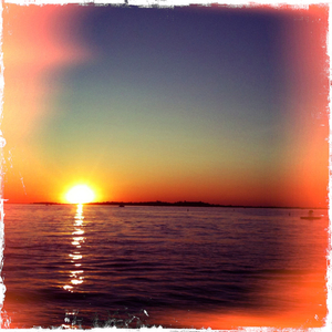 Hip 334292565.559862