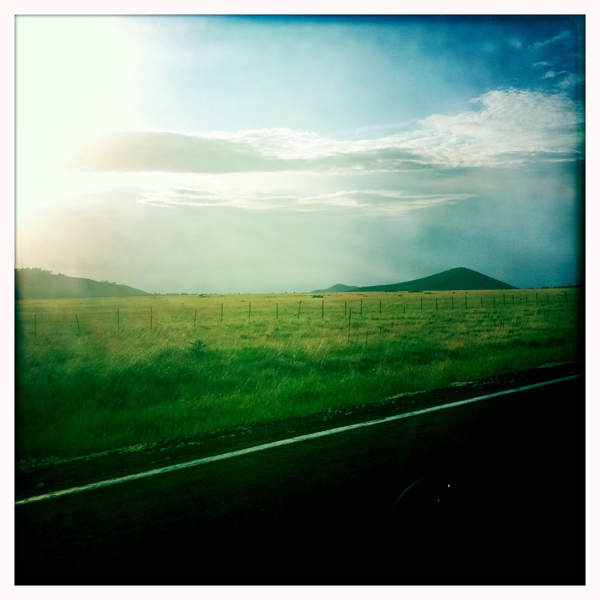 Hip 331695172.216092