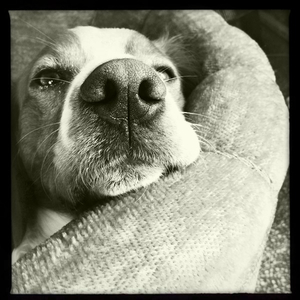 Hip 334167194.522343