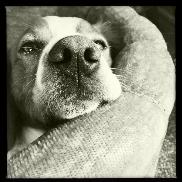 Hip 334167194.522343