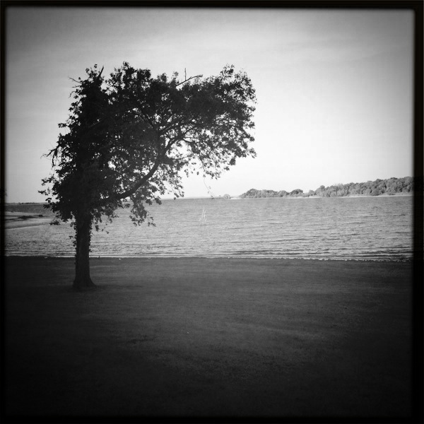 6029759015 ba93572f3f b