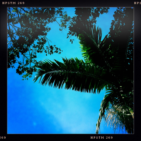 Hip 333888138.197647