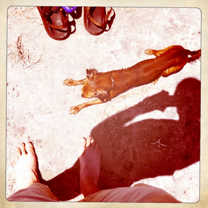 Hip 334342762.496388