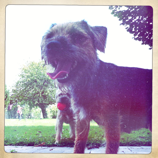 Hip 333206295.247056