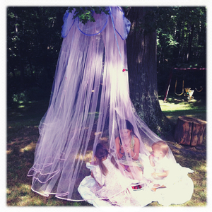 Hip 333473292.354381