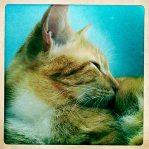 Hip 327950918.310205