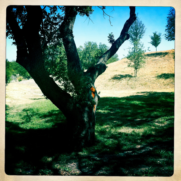 Hip 334702485.869241