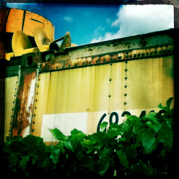 Hip 334686370.230281