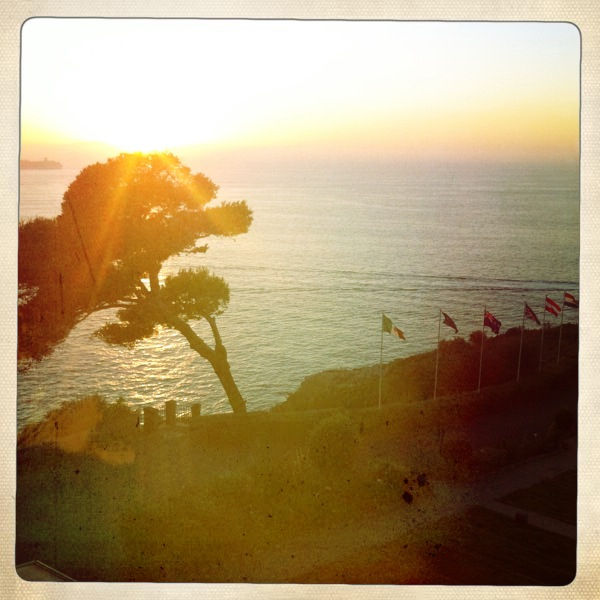 Hip 334519168.512408