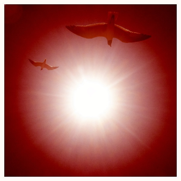 Hip 325277497.260476