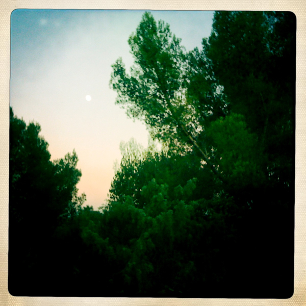 Hip 334694914.398321