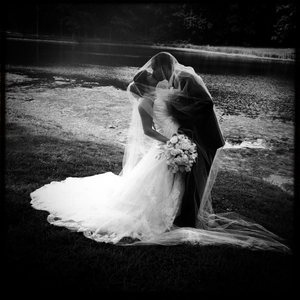 Hip 334353511.489737