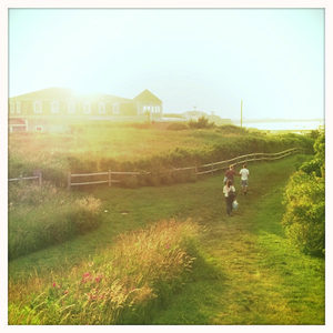 Hip 330824216.488372