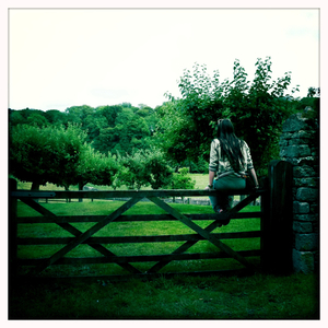 Hip 333472534.765012