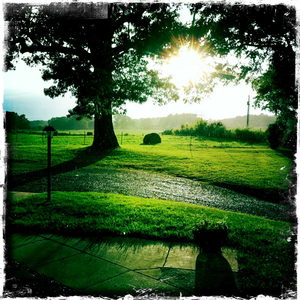 Hip 334712942.364369