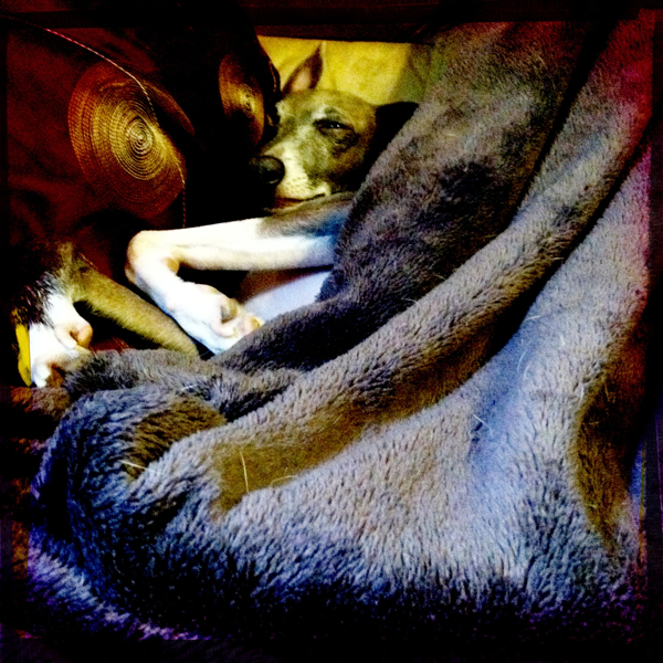 Hip 333560089.949699