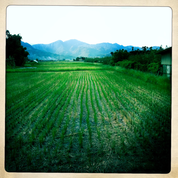 Hip 333709688.487108