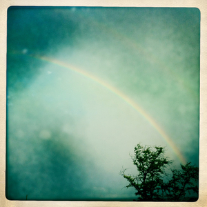 Hip 332680546.179351