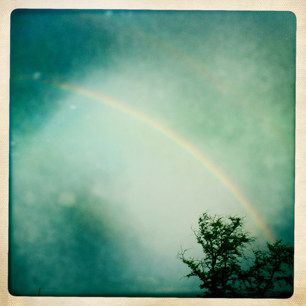 Hip 332680546.179351