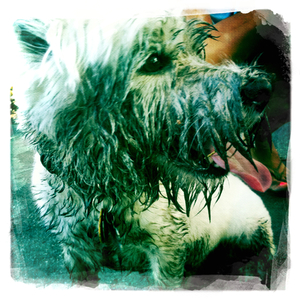 Hip 332475358.604760