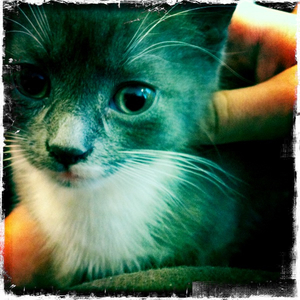 Hip 334699432.544179