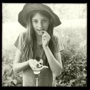 Hip 331333652.133638