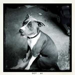 Hip 307748190.818708