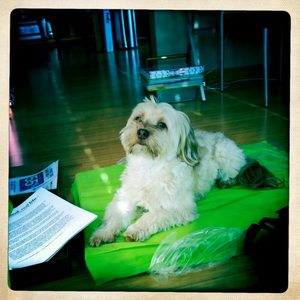 Hip 322098517.329850