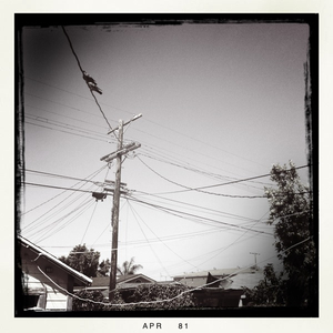 Hip 324252751.409280