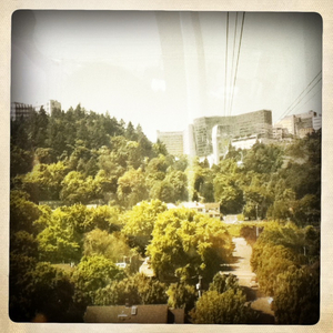 Hip 334699702.630241